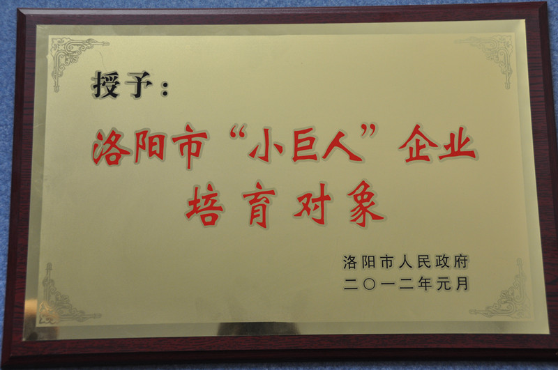 “小巨人”企業(yè)